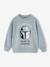 Sweat Star Wars Foil garçon vert d'eau 1 - vertbaudet enfant 