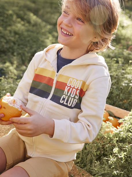 Sweat garçon zippé à capuche animation rayures Beige chiné 1 - vertbaudet enfant 