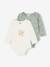 Lot de 2 bodies Disney Le Roi Lion bébé vert sauge 1 - vertbaudet enfant 