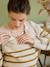 Pull style marinière grossesse et allaitement ouvertures raglan beige chiné+marine 3 - vertbaudet enfant 