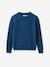 Pull Merinos bleu 1 - vertbaudet enfant 