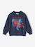 Sweat Marvel Spiderman garçon bleu nuit 1 - vertbaudet enfant 