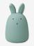 Veilleuse lapin Winston - vert 1 - vertbaudet enfant 