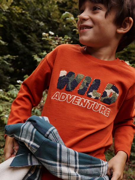 T-shirt motif wild en bouclettes garçon rouille 1 - vertbaudet enfant 