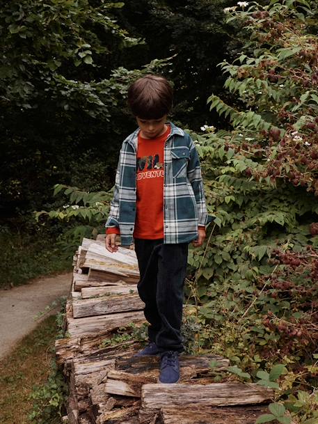 Chemise Boutonnée Gap Garçon 3 Ans – Vert à Carreaux, Manches Longues, Coton