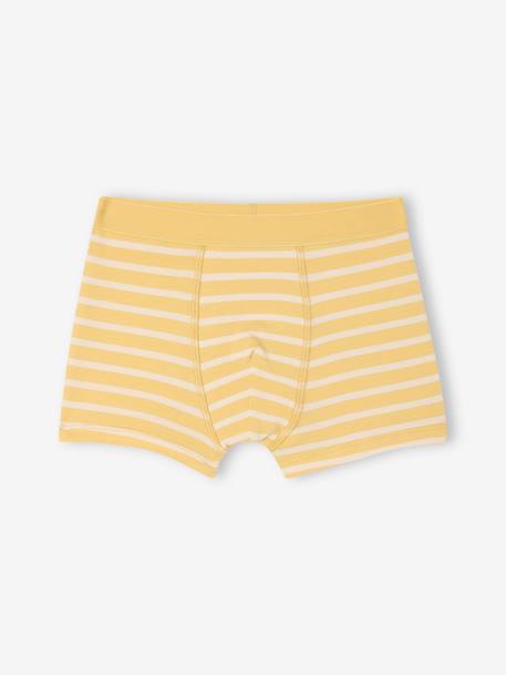 Lot de 5 boxers stretch garçon bleu ciel 6 - vertbaudet enfant 