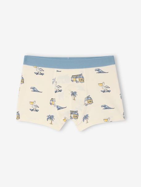 Lot de 5 boxers stretch garçon bleu ciel 3 - vertbaudet enfant 