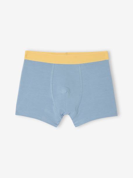 Lot de 5 boxers stretch garçon bleu ciel 4 - vertbaudet enfant 