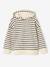 Sweat garçon à capuche rayé style marinière marine 3 - vertbaudet enfant 