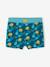 Maillot de bain garçon imprimé tropical Imprimé 1 - vertbaudet enfant 
