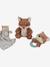 Coffret Cadeau - Forest friends+Little Farm+multicolore+rose poudré 1 - vertbaudet enfant 