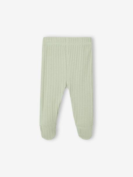 Ensemble body + legging + foulard bébé vert sauge 8 - vertbaudet enfant 