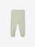 Ensemble body + legging + foulard bébé vert sauge 8 - vertbaudet enfant 