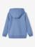 Sweat garçon zippé à capuche motif poitrine blanc chiné+bleu chambray+ocre+rouge+turquoise 5 - vertbaudet enfant 
