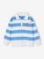 Sweat rayé col polo garçon rayé bleu 1 - vertbaudet enfant 