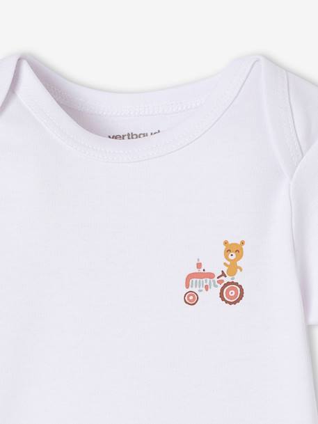 Lot de 5 bodies bébé garçon manches courtes coffret cadeau bleu 10 - vertbaudet enfant 