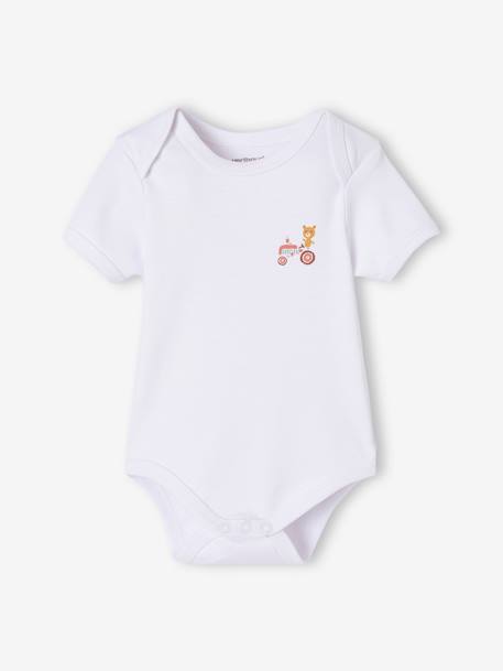 Lot de 5 bodies bébé garçon manches courtes coffret cadeau bleu 3 - vertbaudet enfant 