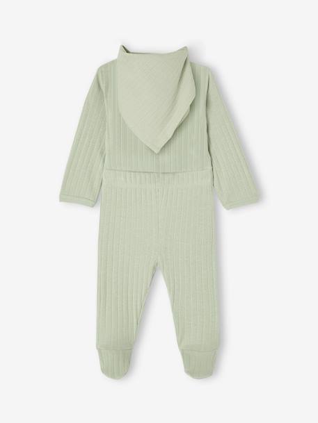 Ensemble body + legging + foulard bébé vert sauge 6 - vertbaudet enfant 