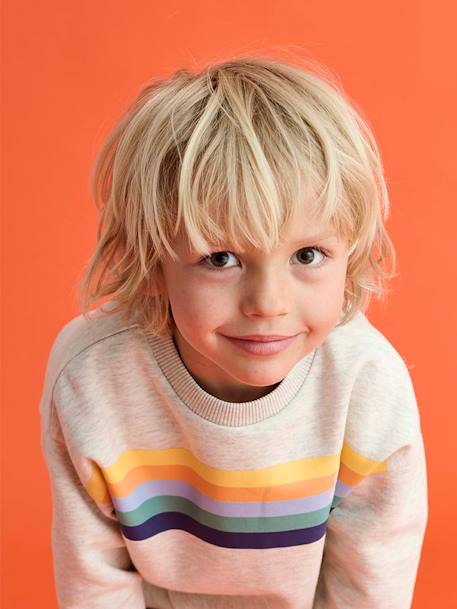 Sweat garçon col rond rayures graphiques blanc chiné+bleu grisé 2 - vertbaudet enfant 