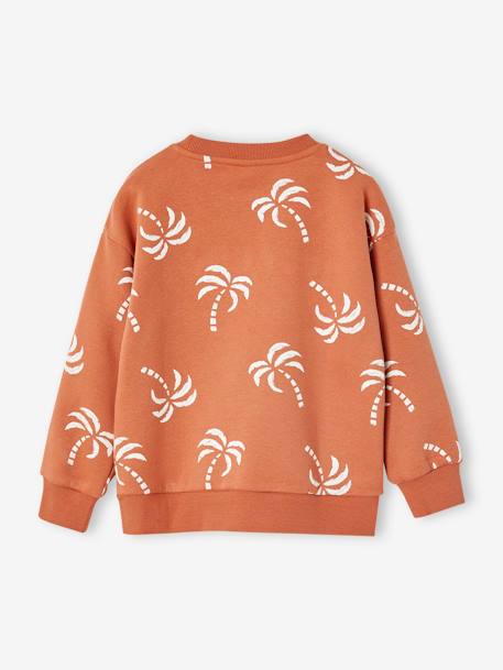 Sweat détail fantaisie garçon tomette 2 - vertbaudet enfant 