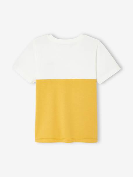 T-shirt garçon coloblock manches courtes ardoise+menthe+ocre+orange+vert anglais 18 - vertbaudet enfant 
