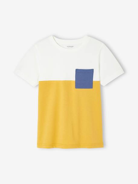 T-shirt garçon coloblock manches courtes ardoise+menthe+ocre+orange+vert anglais 16 - vertbaudet enfant 