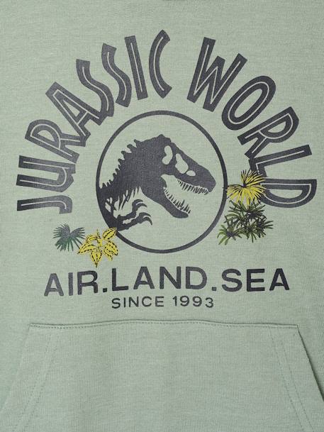 Sweat à capuche Jurassic World lichen 3 - vertbaudet enfant 
