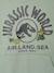 Sweat à capuche Jurassic World lichen 3 - vertbaudet enfant 