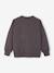 Sweat Hot Wheels Garçon gris 2 - vertbaudet enfant 