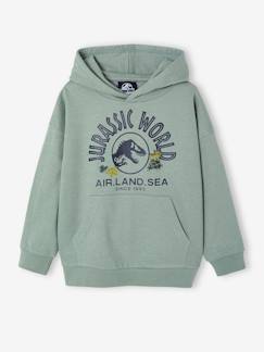 -Sweat à capuche Jurassic World