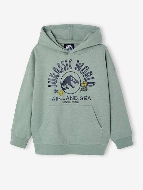 Sweat à capuche Jurassic World lichen 1 - vertbaudet enfant 
