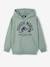 Sweat à capuche Jurassic World lichen 1 - vertbaudet enfant 