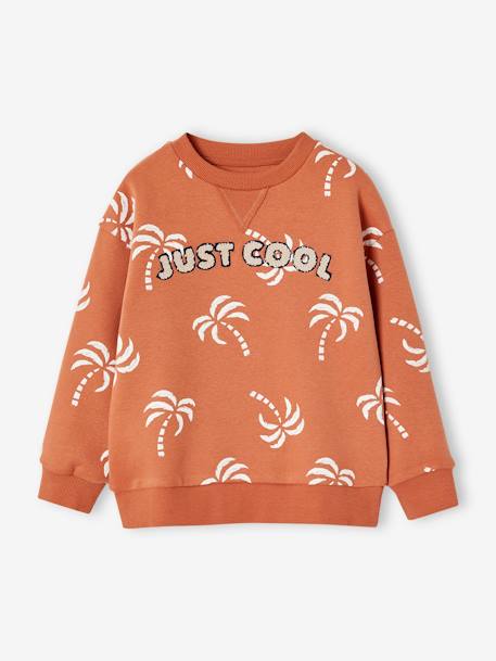 Sweat détail fantaisie garçon tomette 1 - vertbaudet enfant 