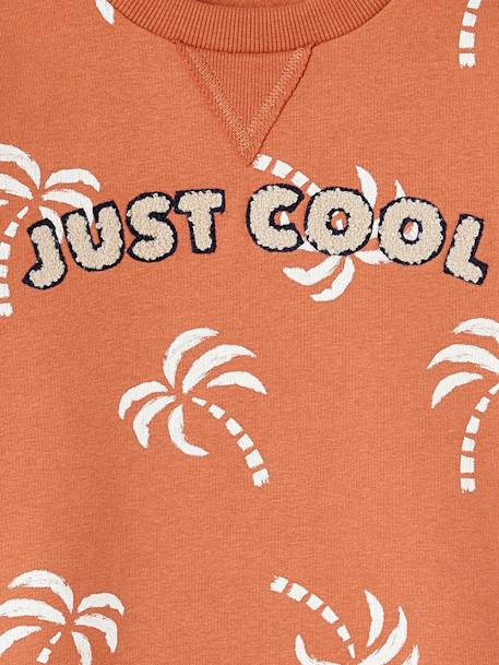 Sweat détail fantaisie garçon tomette 3 - vertbaudet enfant 