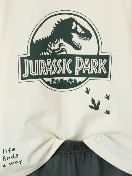 Pyjashort Jurassic Park gris souris 4 - vertbaudet enfant 