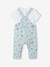 Ensemble 3 pièces naissance salopette + body + foulard bleu 4 - vertbaudet enfant 