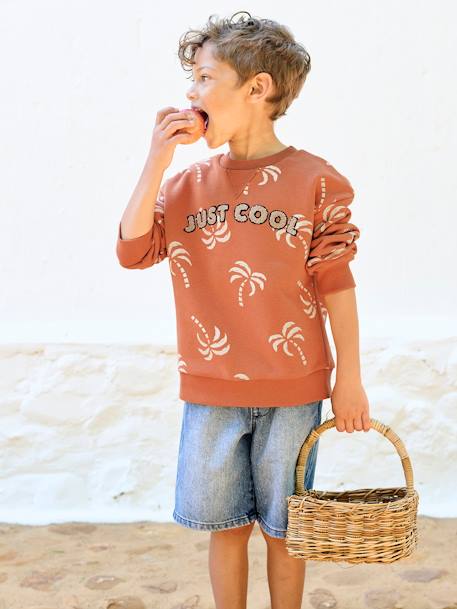 Sweat détail fantaisie garçon tomette 4 - vertbaudet enfant 