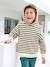 Sweat garçon à capuche rayé style marinière marine 1 - vertbaudet enfant 