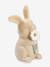 Veilleuse lapin Fairy Garden écru 1 - vertbaudet enfant 