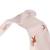 Lot de 2 bavoirs à poche little forest lapin Rose 5 - vertbaudet enfant 