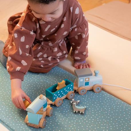 Petit train rayé animaux du zoo Bleu pétrole 2 - vertbaudet enfant 