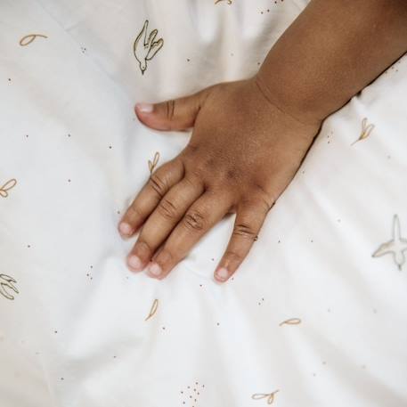 Drap housse coton bio l'envolée 1 personne L'envolée 5 - vertbaudet enfant 