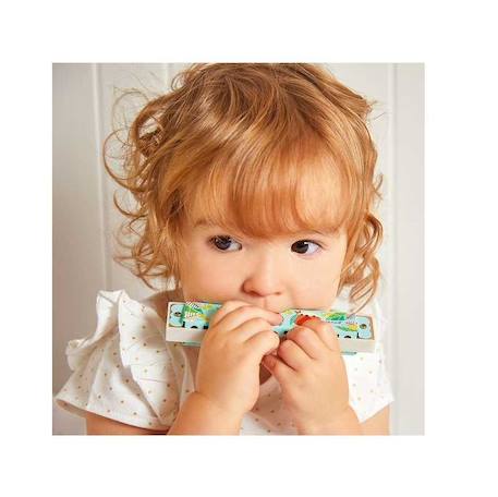 Harmonica gioia Vert 3 - vertbaudet enfant 