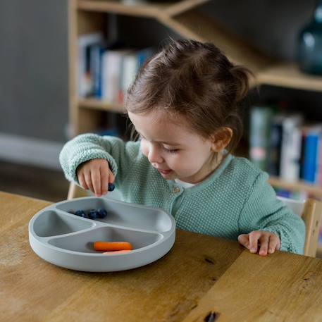 Assiette à compartiments avec ventouse aquamarine+gris clair+gris foncé+menthe+Rose foncé+rose pâle 14 - vertbaudet enfant 