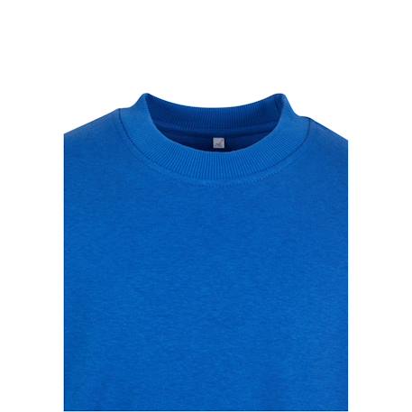 Sweat coton Bleu roi+Noir+Sable blanc 3 - vertbaudet enfant 
