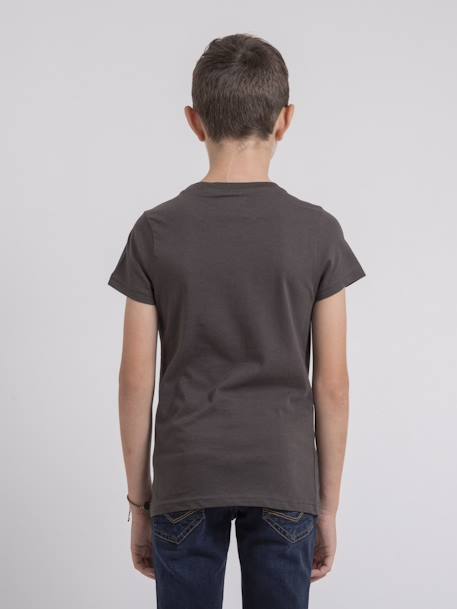 T-shirt col rond pur coton jouancy garçon Gris clair+Gris fonce 6 - vertbaudet enfant 