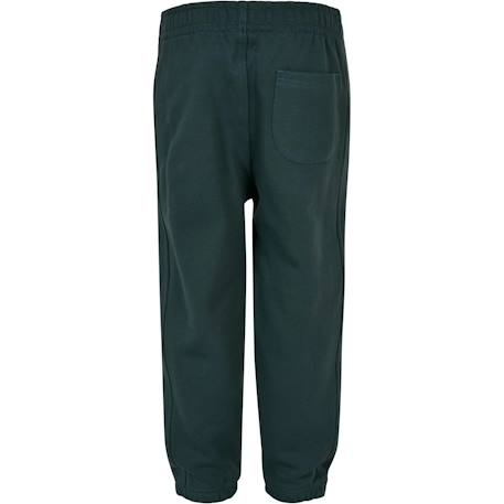 Pantalon de jogging coton Beige+Bleu marine+Charbon+Noir+Vert bouteille 18 - vertbaudet enfant 