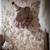 Trophée mural ours alexia en lin – décoration chambre bébé enfant Beige, alexia rose 4 - vertbaudet enfant 