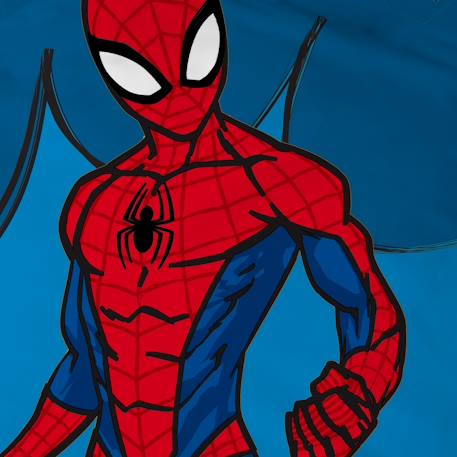 Parure de lit imprimée 100% coton, spiderman home avenger Bleu 5 - vertbaudet enfant 