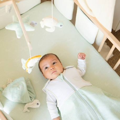 Gigoteuse naissance tog2 Vert 2 - vertbaudet enfant 